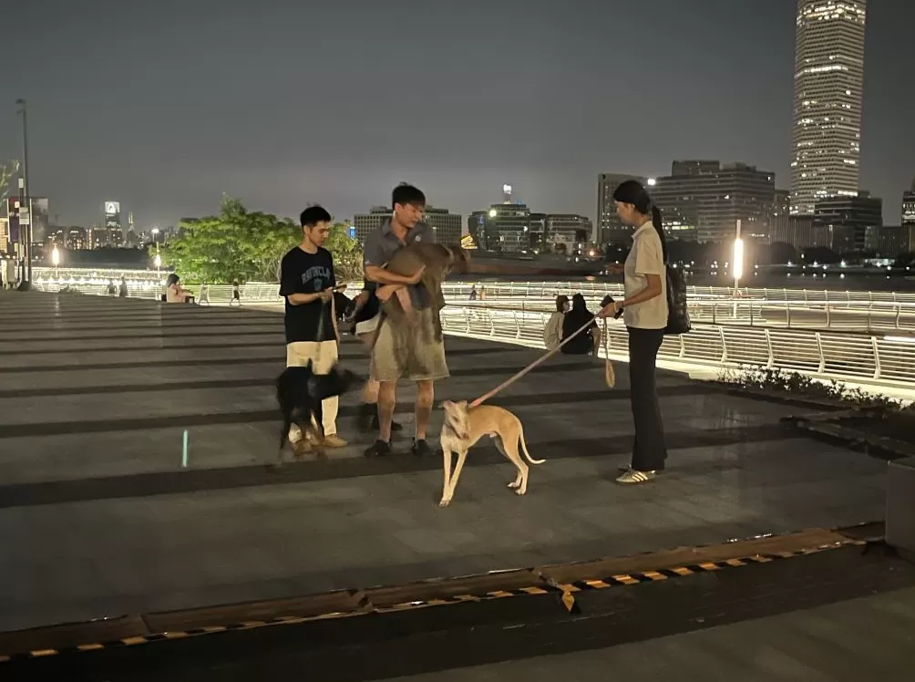 发现夜上海｜是什么让西岸梦中心跻身顶流？松弛感如何吸引年轻人？-第5张图片-