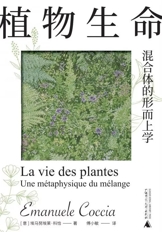 瑞士国际航空公司-第3张图片-