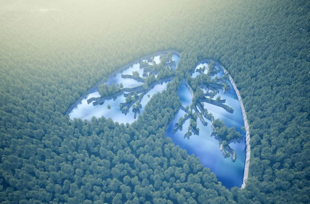 瑞士国际航空公司-第2张图片-