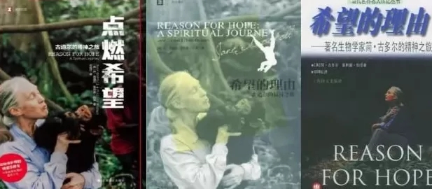 珍·古道尔博士逝世，她为这个世界点燃希望-第2张图片-