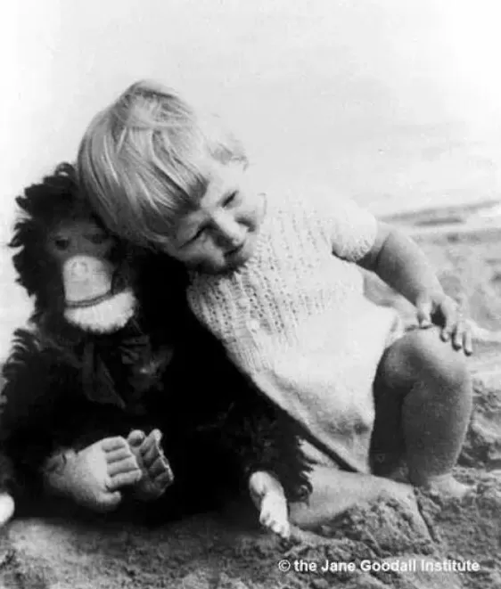 珍·古道尔博士逝世，她为这个世界点燃希望-第10张图片-