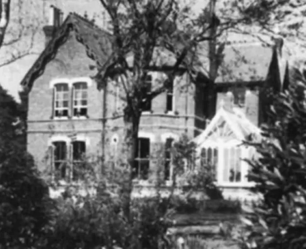 珍·古道尔博士逝世，她为这个世界点燃希望-第12张图片-