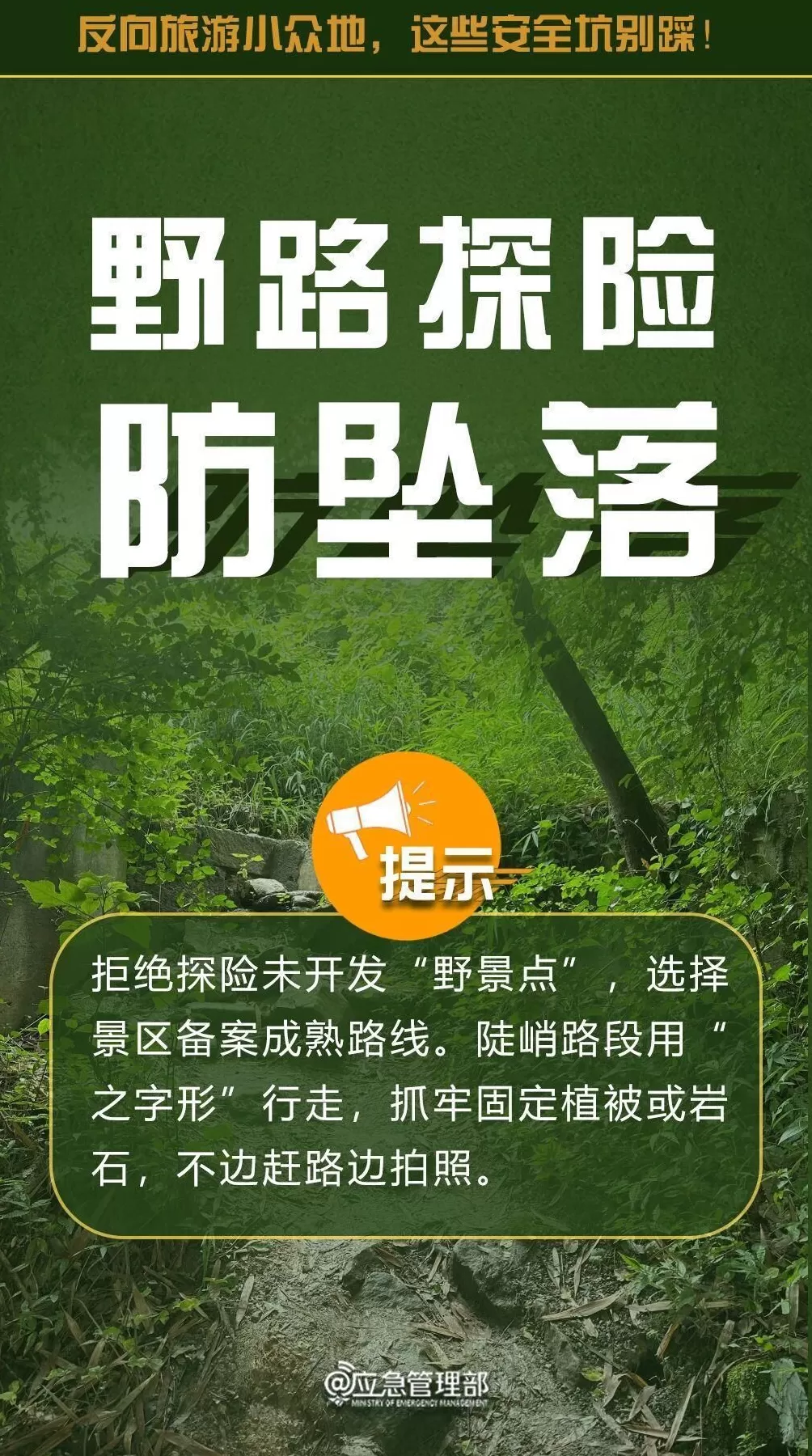 反向旅游存在隐患这些“安全坑”不要踩-第1张图片-