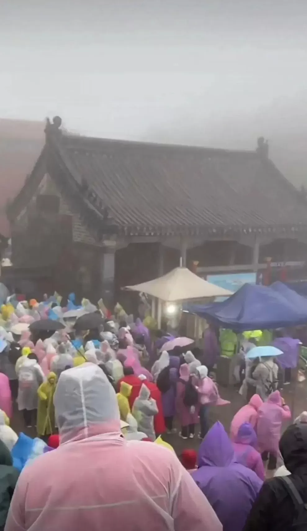 大量游客在知名景区突遭降雨大风,连厕所都挤满过夜的人!“山顶宾馆99元坐席可过夜”冲上热搜-第3张图片- 大量游客在知名景区突遭降雨大风,连厕所都挤满过夜的人!“山顶宾馆99元坐席可过夜”冲上热搜-第3张图片-