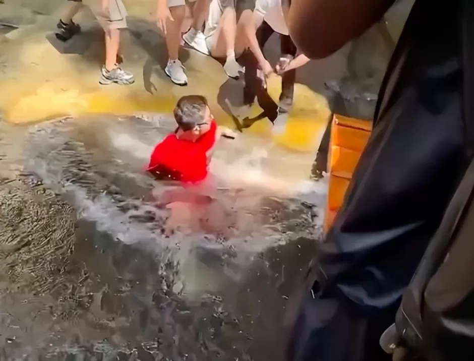 张继科回应落水：与副市长等10人同行帮朋友拍照时被谁给踹了一脚-第3张图片-