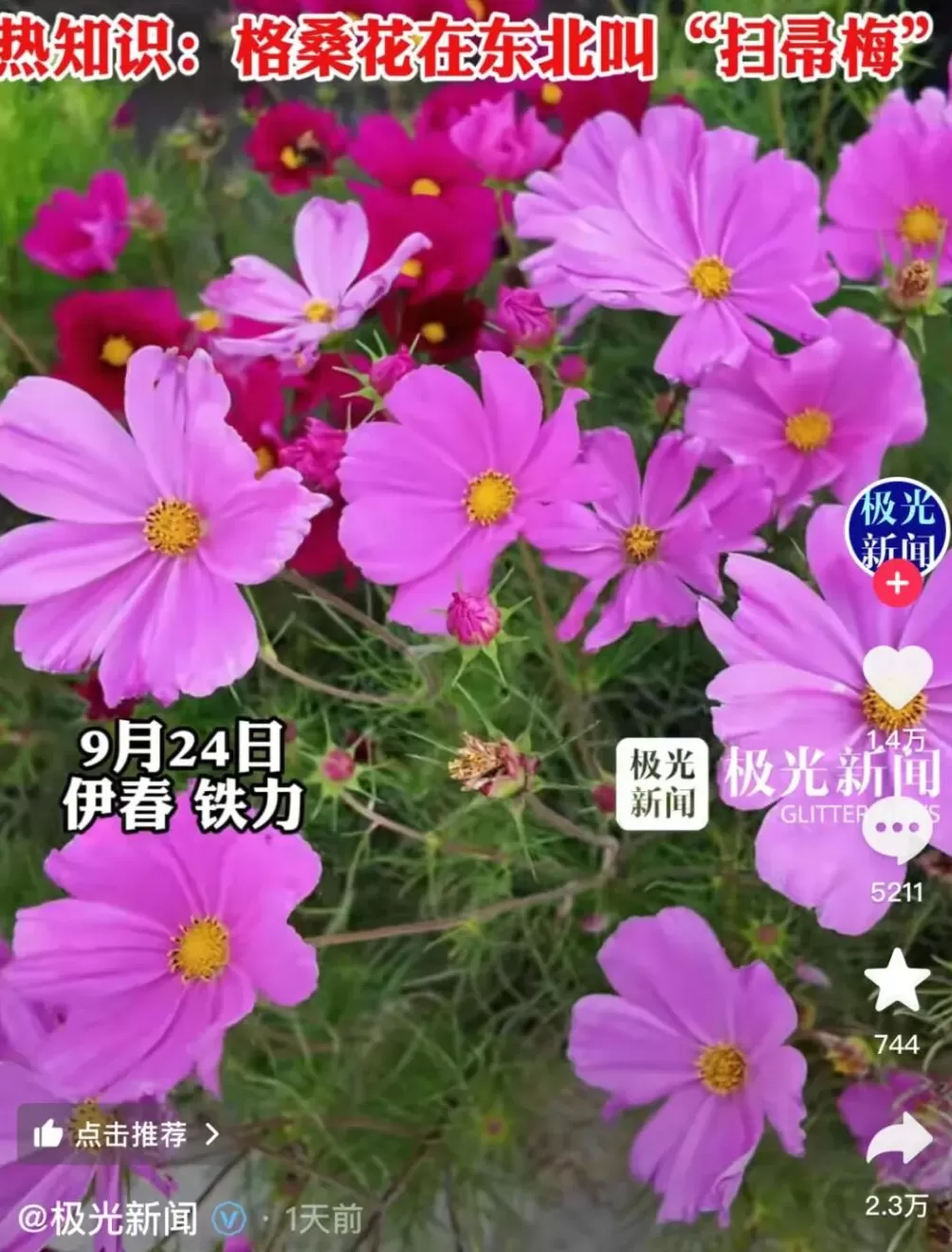 全国最羞耻的景点，千万别传出东北！-第4张图片-