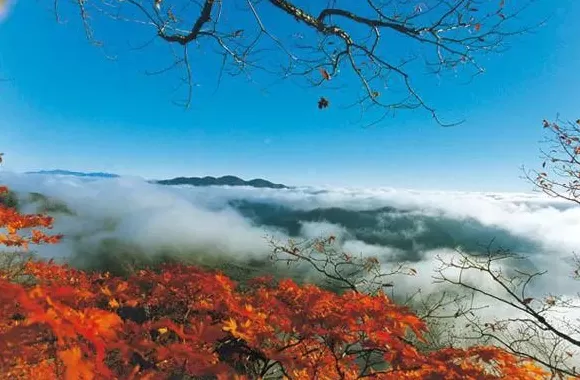 全国最羞耻的景点，千万别传出东北！-第6张图片-