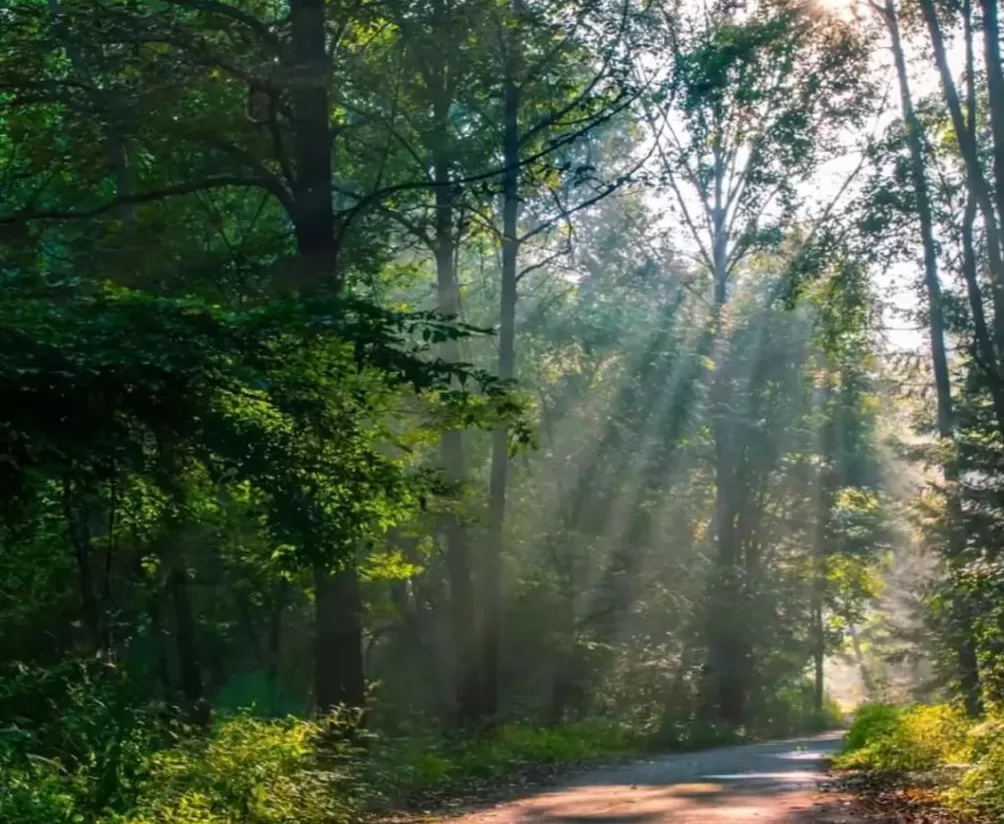 全国最羞耻的景点，千万别传出东北！-第10张图片-