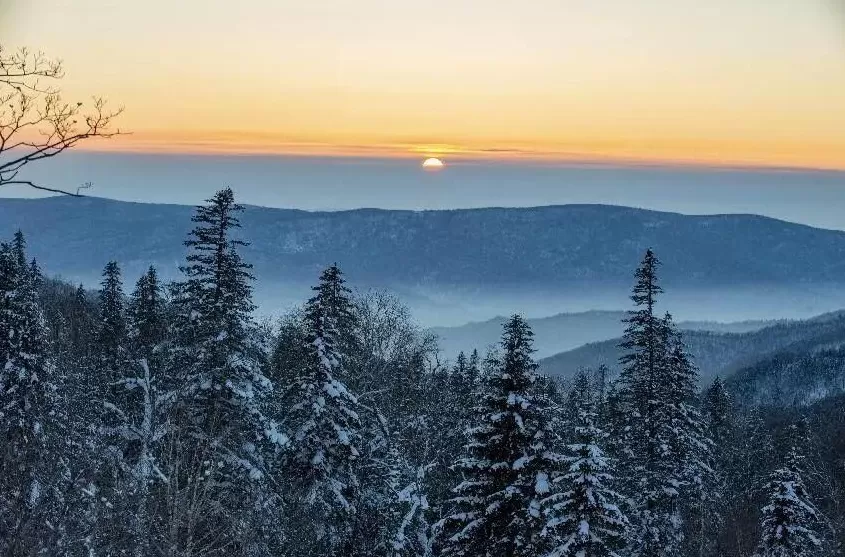 全国最羞耻的景点，千万别传出东北！-第9张图片-