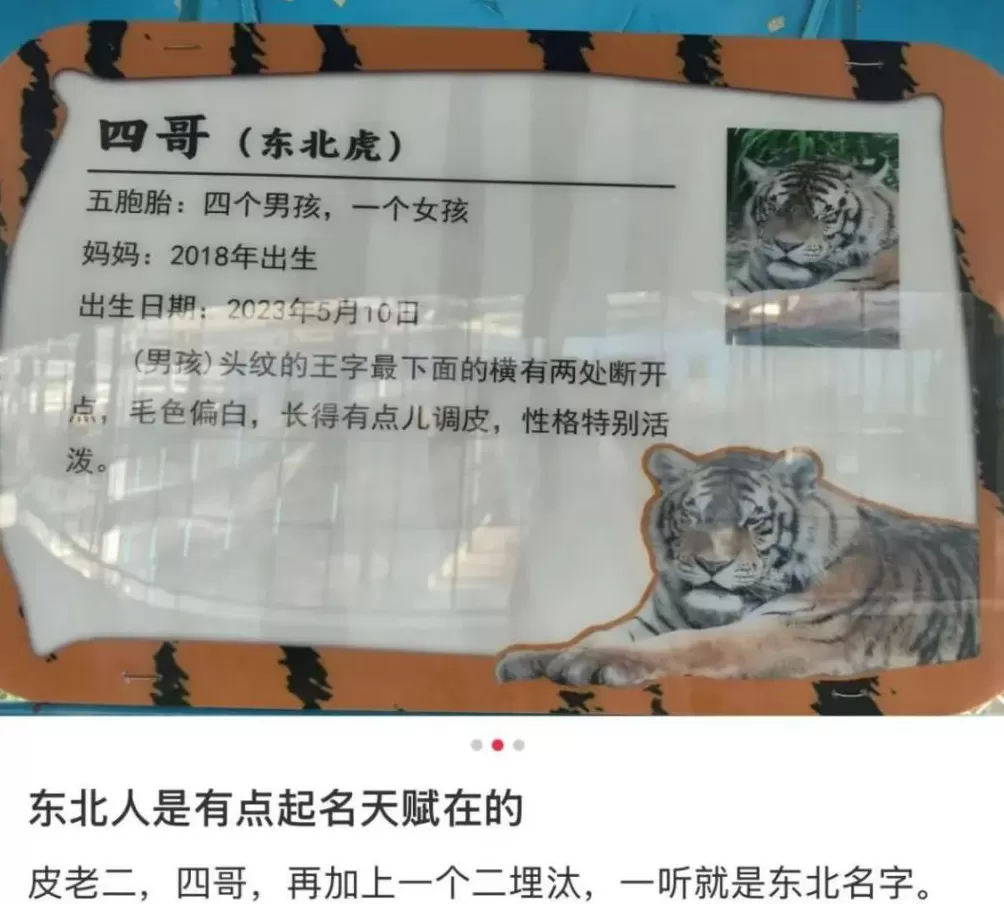 全国最羞耻的景点，千万别传出东北！-第28张图片-