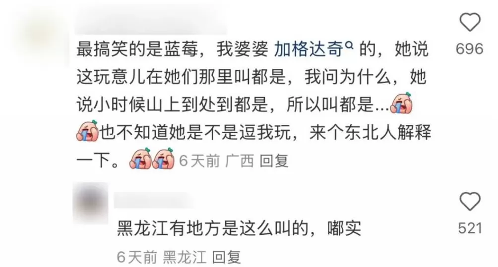 全国最羞耻的景点，千万别传出东北！-第39张图片-