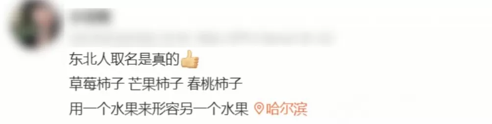 全国最羞耻的景点，千万别传出东北！-第40张图片-