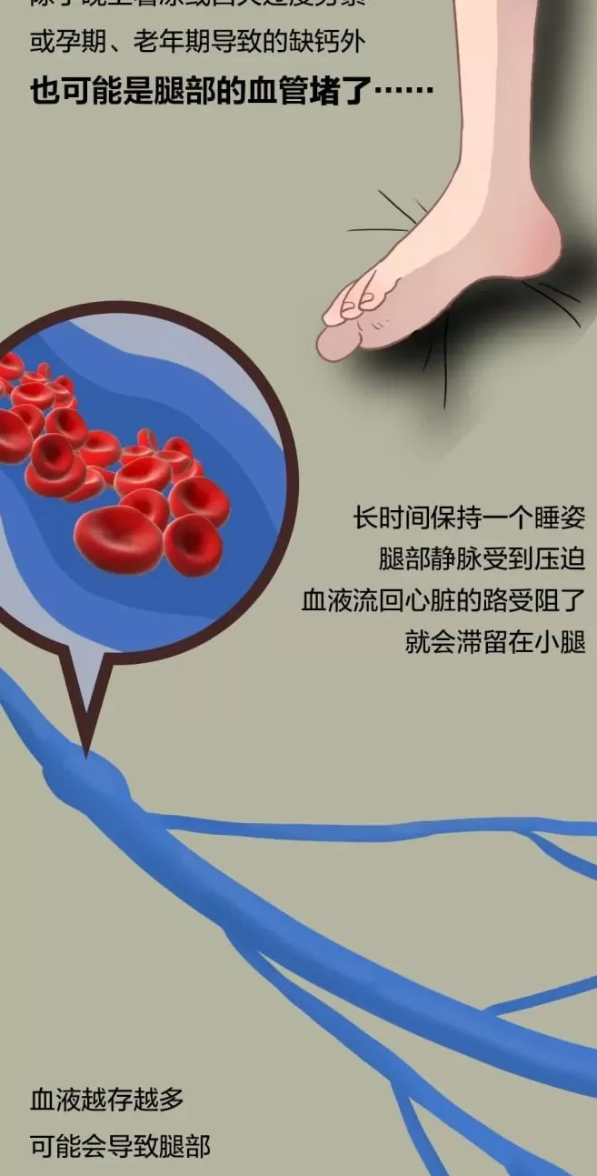 腿抽筋、爱磨牙、半夜总醒……可能是这些地方“堵”了-第7张图片-