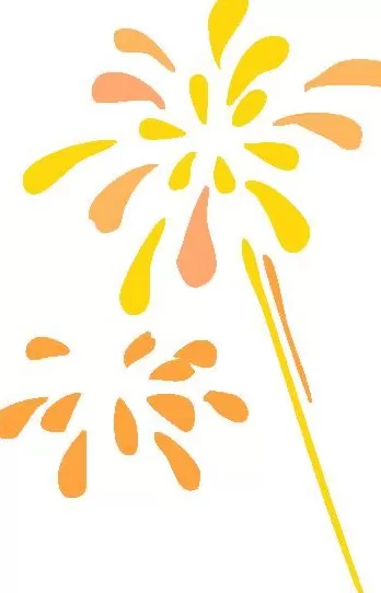 国产客机C909深圳首飞！执飞国际新航线-第1张图片-