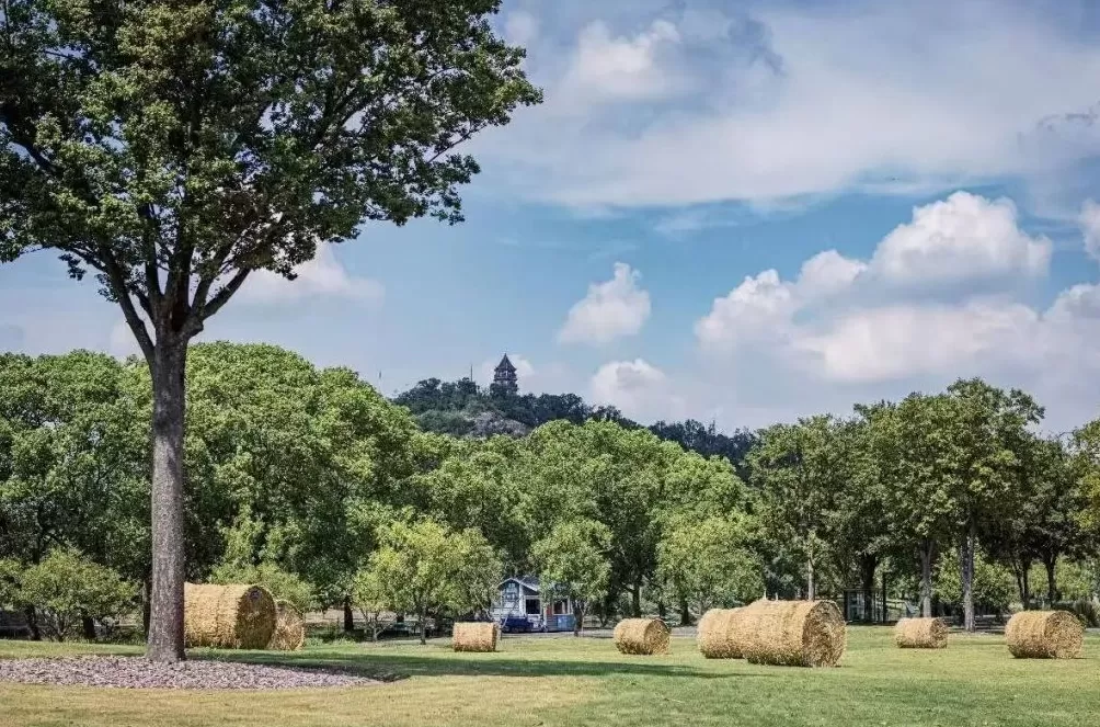 在辰山植物园亲近自然，解锁治愈系国庆假期-第11张图片-
