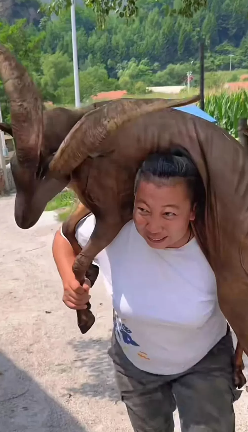 被禁言一年后，东北雨姐即将解封？多方回应，此前因虚假宣传被处罚-第1张图片-