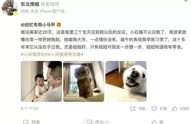 被禁言一年后，东北雨姐即将解封？多方回应，此前因虚假宣传被处罚-第6张图片-