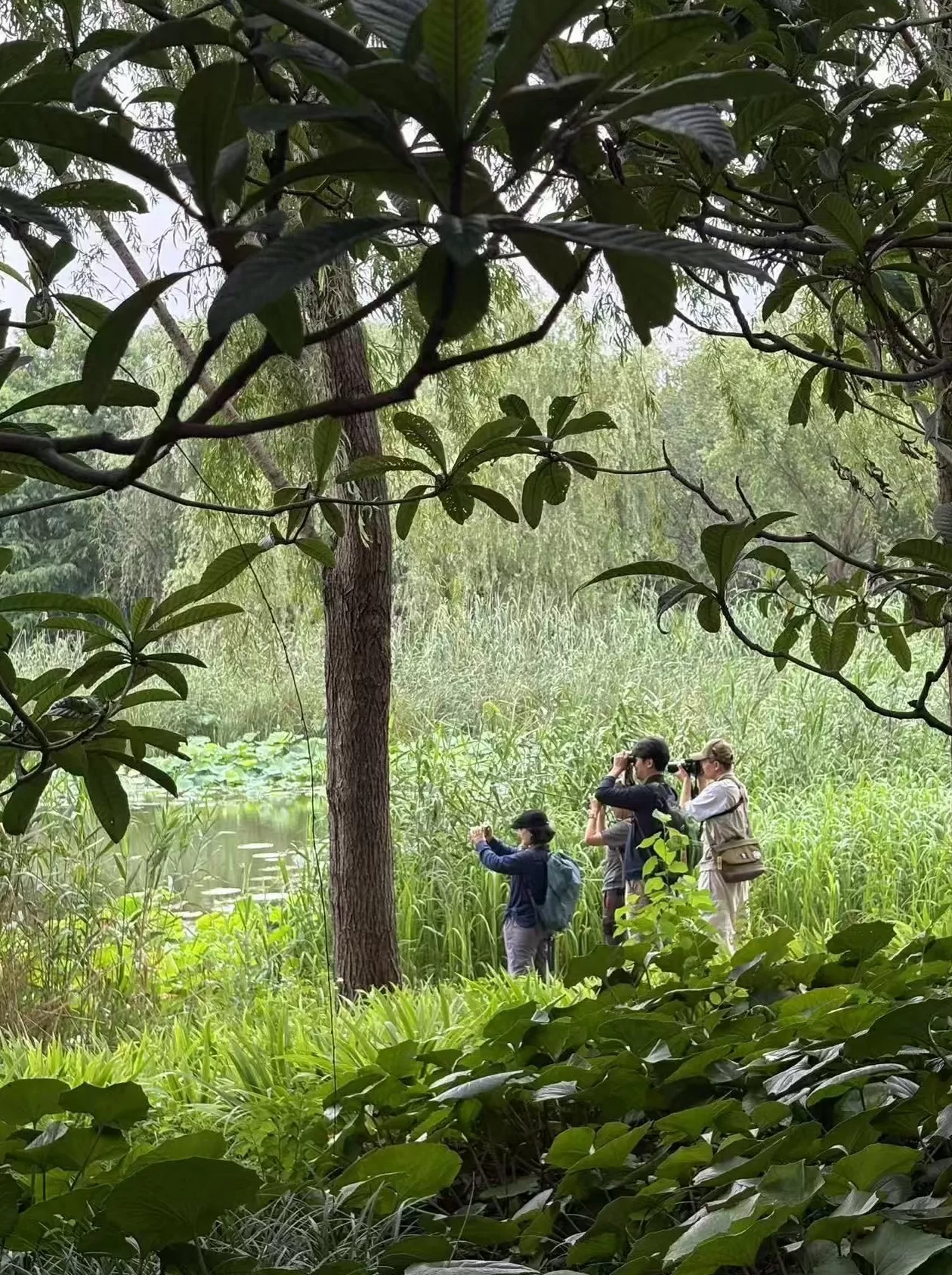 观鸟之旅:我们为什么愿意为一只鸟翻山越岭?|“不基础”旅行-第2张图片- 观鸟之旅:我们为什么愿意为一只鸟翻山越岭?|“不基础”旅行-第2张图片-