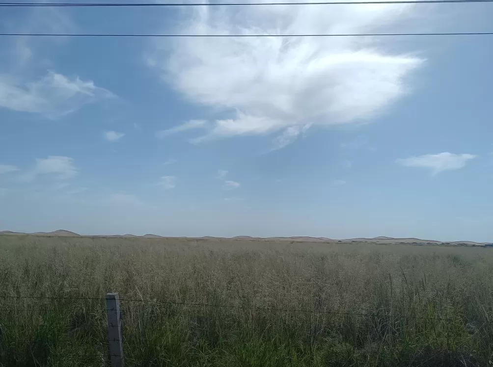 理水龙荒︱草湖：绿洲社会的生命底色-第2张图片-