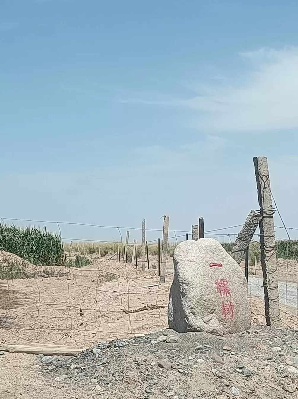 理水龙荒︱草湖：绿洲社会的生命底色-第1张图片-