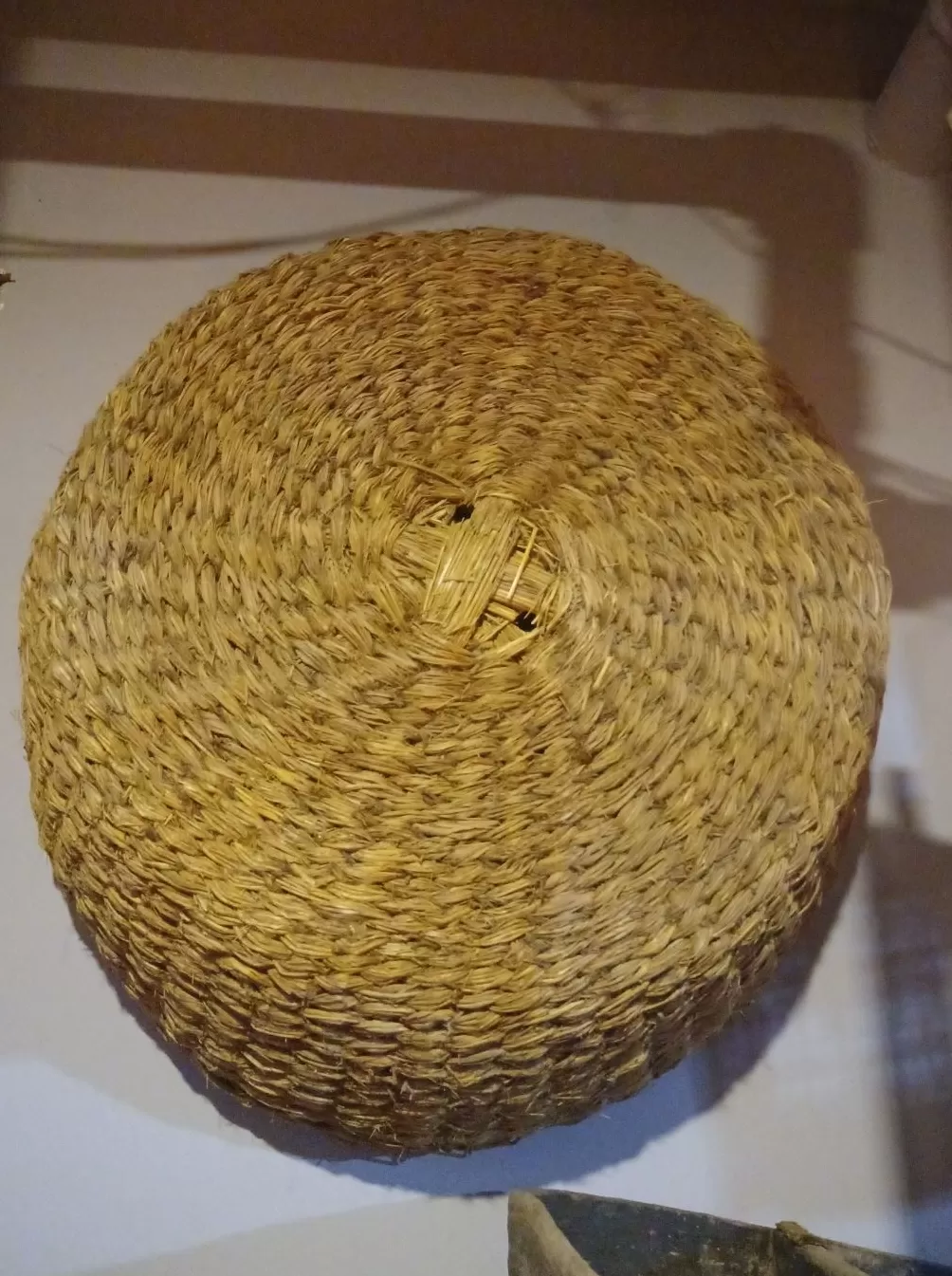 理水龙荒︱草湖：绿洲社会的生命底色-第4张图片-