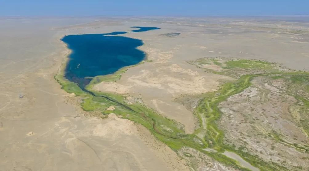 理水龙荒︱草湖：绿洲社会的生命底色-第3张图片-