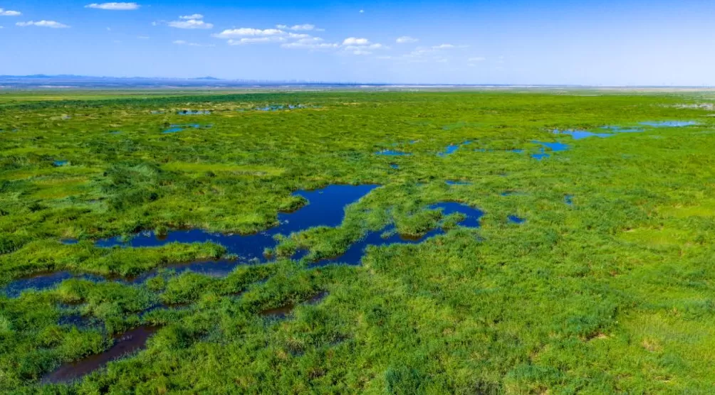理水龙荒︱草湖：绿洲社会的生命底色-第6张图片-