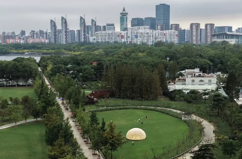 “月亮”出没上海-第6张图片-