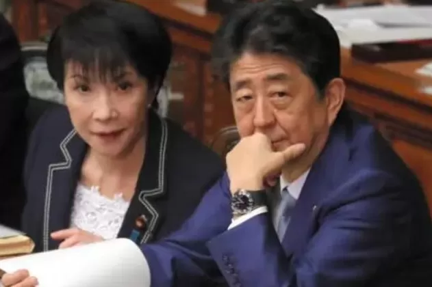 日本大变局开始，接下来更有看头-第3张图片-