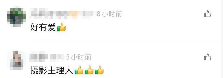 拍完你的拍你的……网友点赞假期最忙“拍照主理人”-第6张图片-