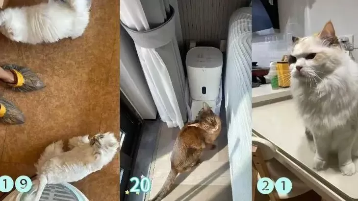 需求激增！男子长假连接270单，其中一笔收费8100元-第3张图片-