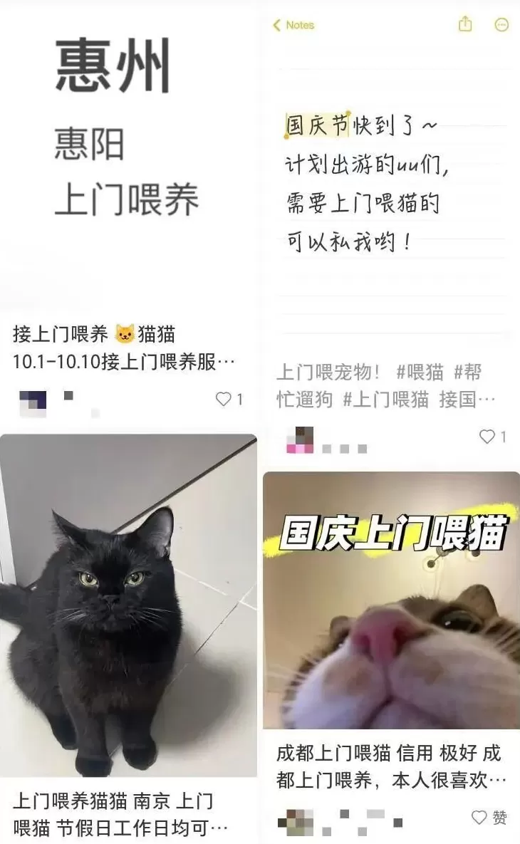 需求激增！男子长假连接270单，其中一笔收费8100元-第1张图片-