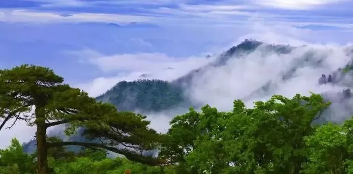 炸锅了！大批游客高喊“退票，退票！”知名景区回应-第11张图片-