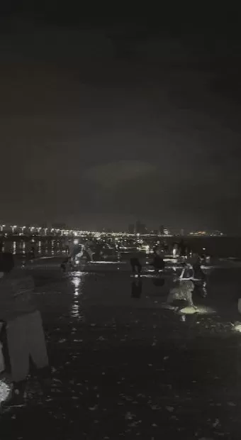 青岛这一海域，大量海鲜被冲上岸！有人赶海俩小时，捞了60多斤-第1张图片-