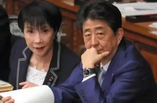日本女首相要来了，一个“背锅侠”？-第5张图片-