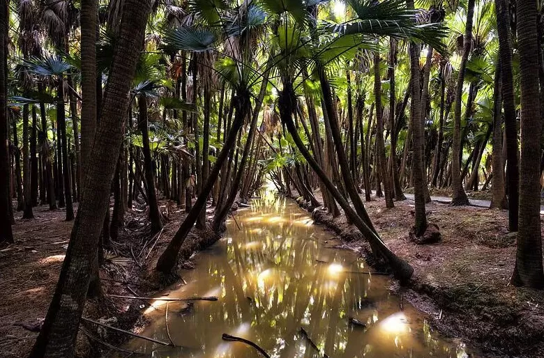 这些电影打卡地太出片-第2张图片-
