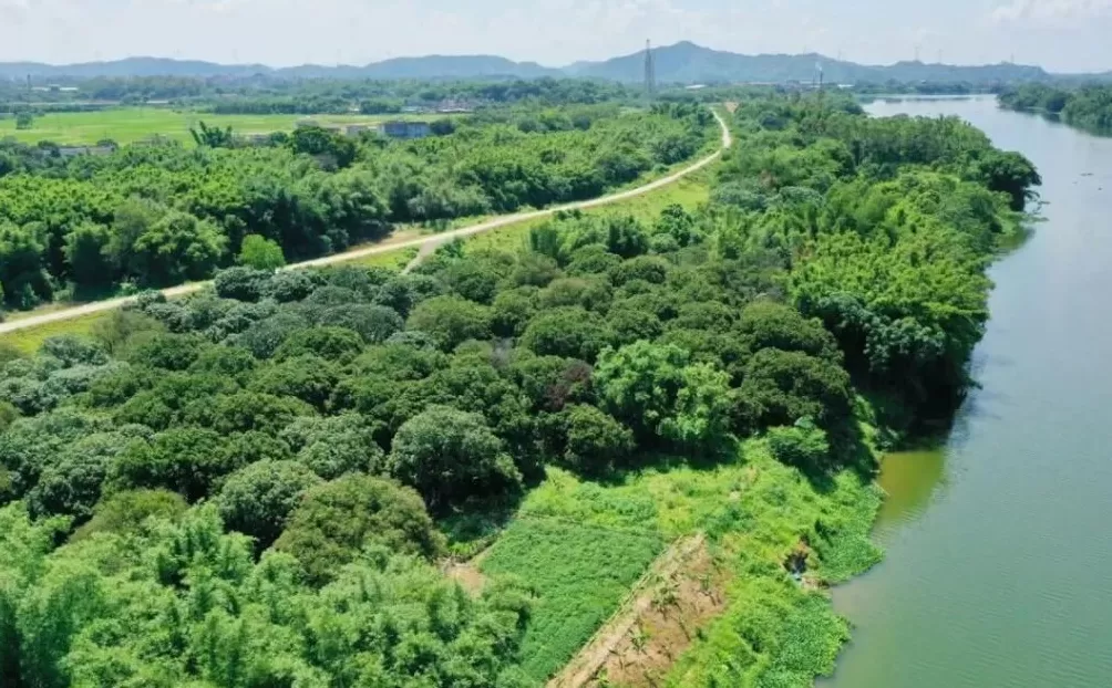 这些电影打卡地太出片-第5张图片-