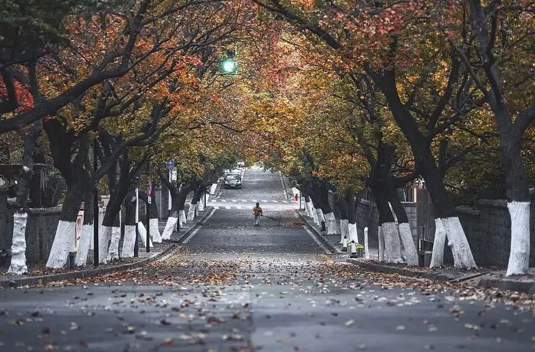 这些电影打卡地太出片-第28张图片-