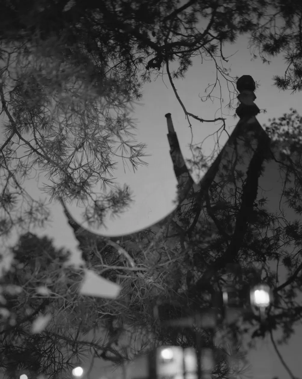 摄影书｜《不朽的林泉》——无法抵达的角落-第4张图片-