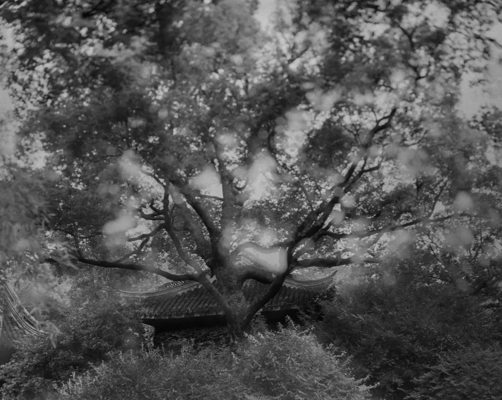 摄影书｜《不朽的林泉》——无法抵达的角落-第5张图片-