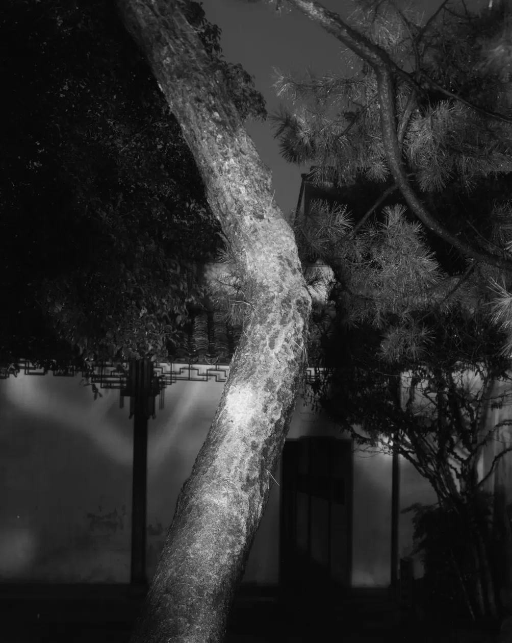 摄影书｜《不朽的林泉》——无法抵达的角落-第7张图片-