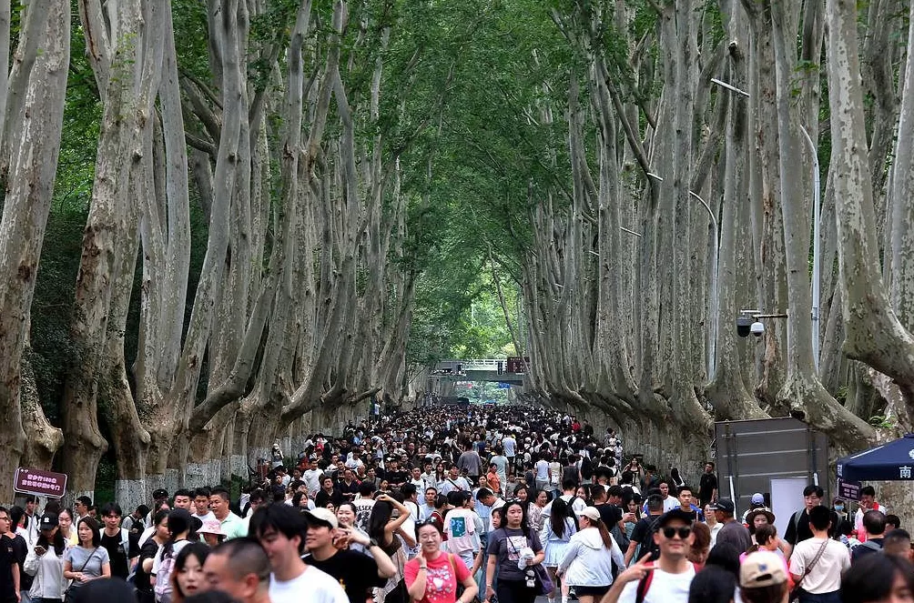 “苏超”引爆南京双节文旅，5天游客数已达去年长假九成-第1张图片-