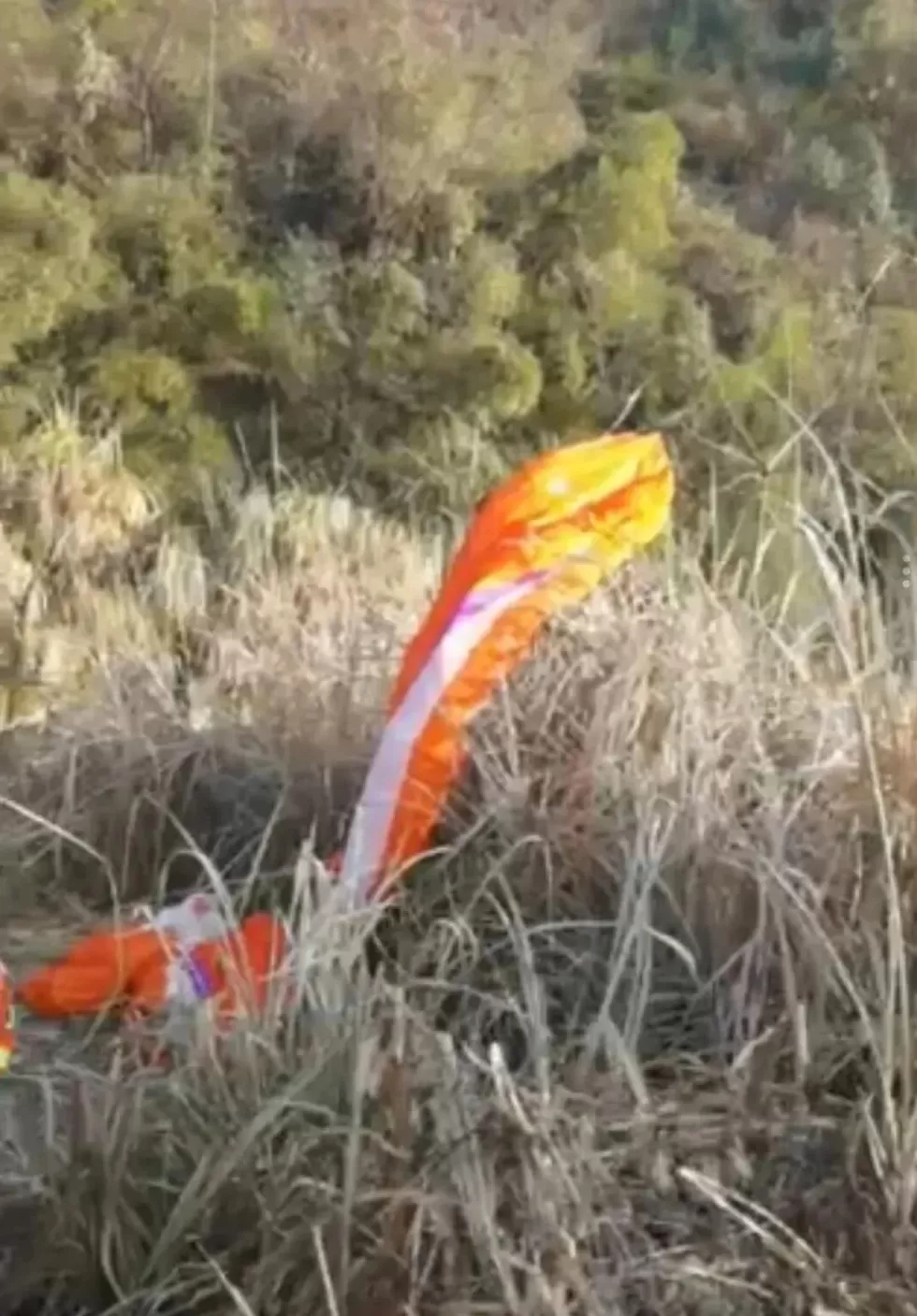 滑翔伞失控后，城市中产从“旷野”坠落-第3张图片-