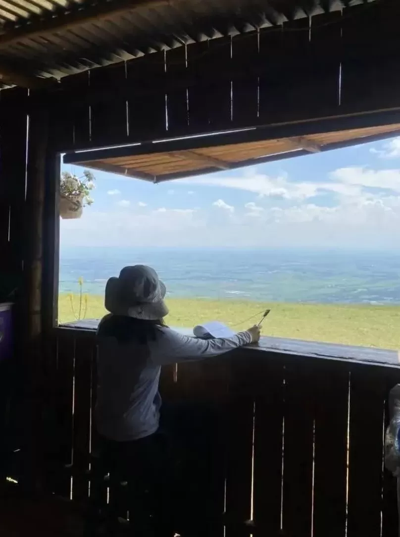 滑翔伞失控后，城市中产从“旷野”坠落-第4张图片-