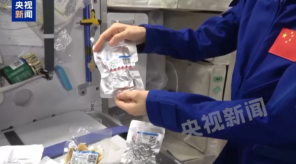 在太空过中秋！神二十乘组从“天宫”发来宇宙级祝福-第3张图片-