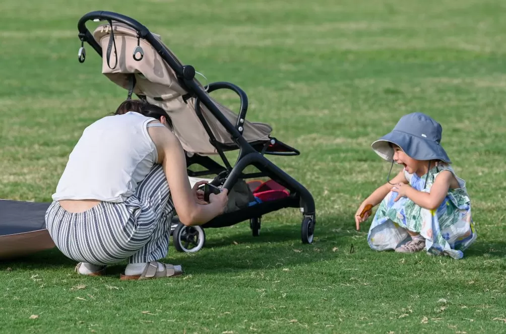 魔都眼·国庆｜世博文化公园秋日派对，在温暖阳光里徜徉花海-第4张图片-