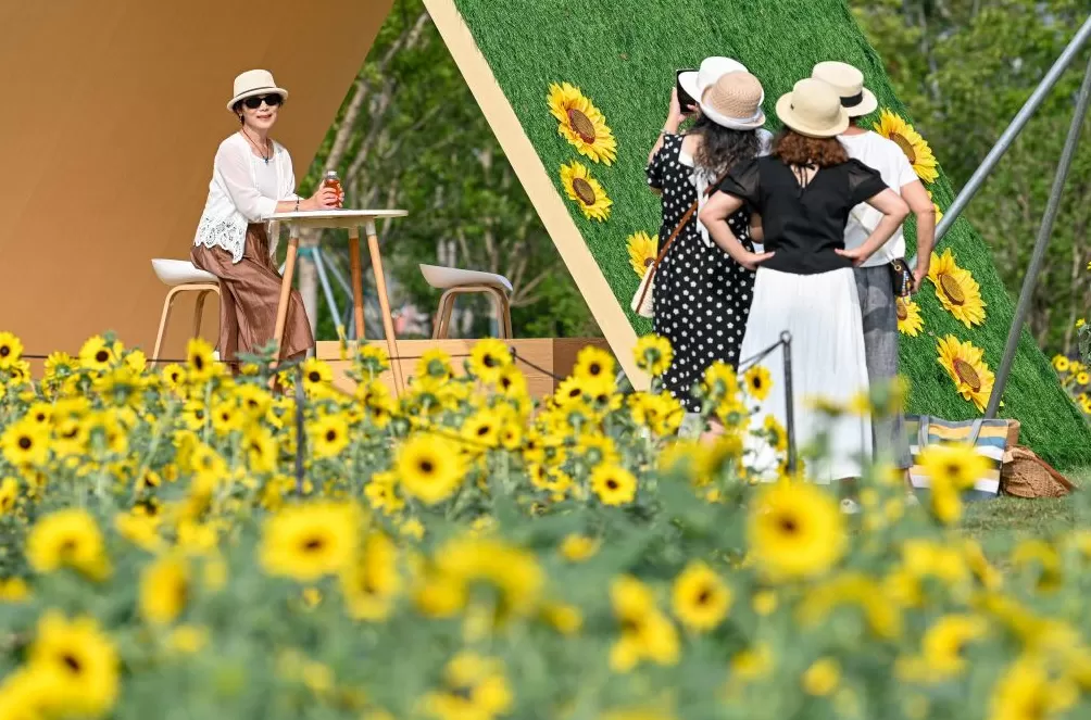 魔都眼·国庆｜世博文化公园秋日派对，在温暖阳光里徜徉花海-第7张图片-