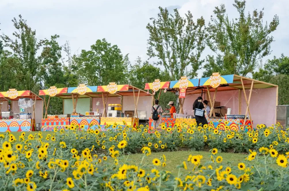 魔都眼·国庆｜世博文化公园秋日派对，在温暖阳光里徜徉花海-第8张图片-