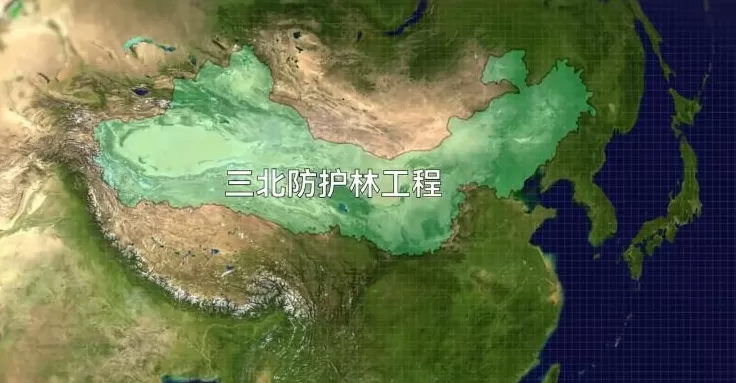 中国治沙47年，竟然不是为了消灭沙漠？-第10张图片-