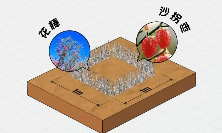 中国治沙47年，竟然不是为了消灭沙漠？-第14张图片-